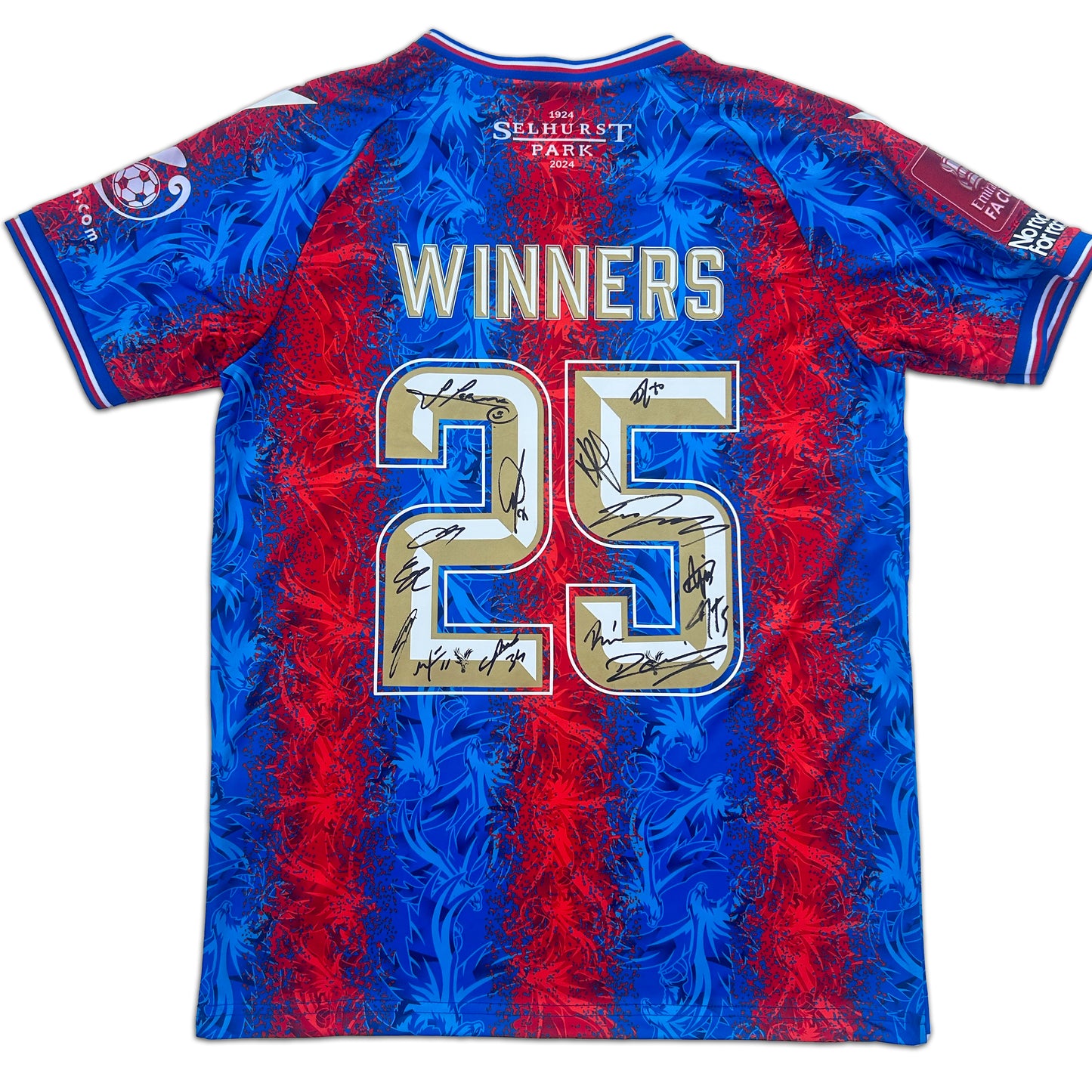 10F1 SIGNED CUSTOM FA CUP WINNERS SHIRT